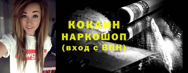 шишки Абинск