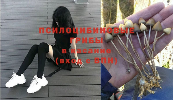 шишки Абинск
