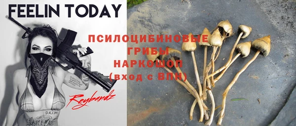 шишки Абинск