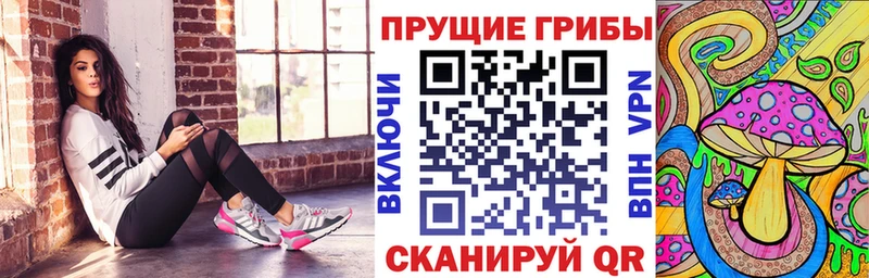 Галлюциногенные грибы GOLDEN TEACHER  закладки  Ряжск 